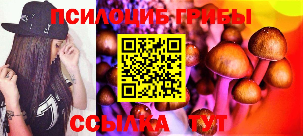 Галлюциногенные грибы MAGIC MUSHROOMS Семёнов