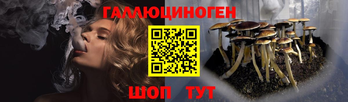 Галлюциногенные грибы Psilocybe  Псилоцибиновые грибы Psilocybine cubensis  где найти наркотики  Семёнов  Вход с VPN 